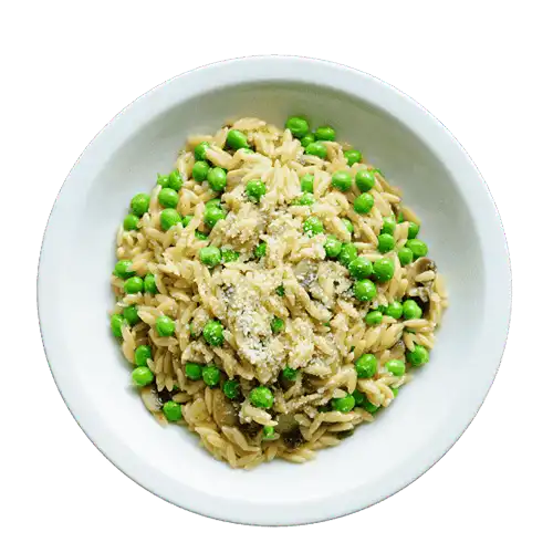 Orzo Soup